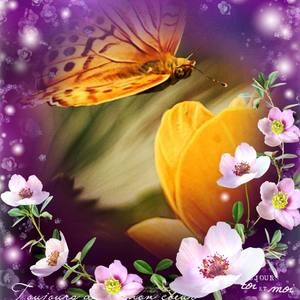 Meet your Posher, Nury